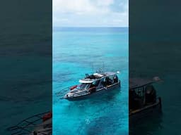 I dream of days like ths 🤤🤤 #fishing #spearfishing #offshore