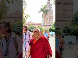 🌿In the Peaceful Ambiance of Buddha and His Dhamma🌿 #buddhism #sarnath