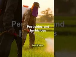 Avoid These 10 Endocrine Disruptors (Part 2) #testosterone