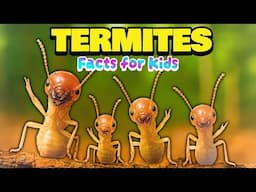 Termite FACTS That Will Change Your Mind About These Bugs - Facts For Kids