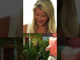 Love Island x Boots Beauty Reactions 👀#loveisland #bootsuk #shorts #fyp #luca #grace