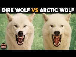 Dire Wolf Vs Arctic Wolf - What's the Difference?