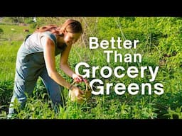 FREE & More Nutritious Method for YEAR ROUND Greens + Spring Recipes!