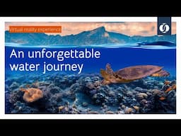 Step into a 360° VR journey through the world of water