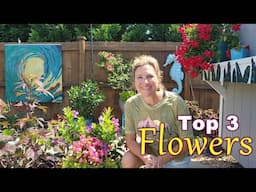 My 3 Best Garden Performers This Month | June in My Carolina Garden