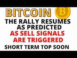 The Bitcoin Rally Resumes as Predicted - Short Term BTC Top Will Likely Complete This Week or Next