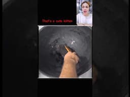 Cooking the cats for better color 😱
