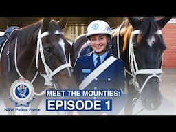Meet the Mounties: Behind the Stable Gates - NSW Police Force