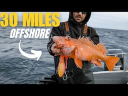 Deep Reef Fishing [We Had To Call It Early!]
