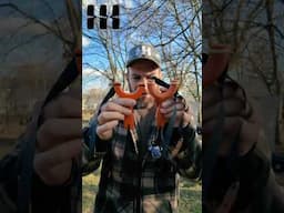 Sparrow Slingshot vs Hornet Slingshot