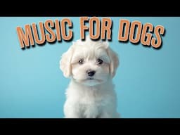 Relaxation for Dogs with Anxiety – Gentle Music for a Peaceful Mind