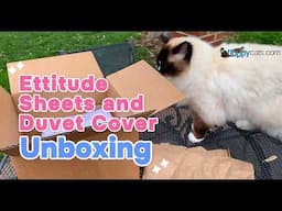 Charlie's Coziest Nap Ever: Ettitude Bedding Unboxing! 😻