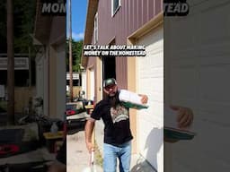 Let’s Talk About Making Money on the Homestead