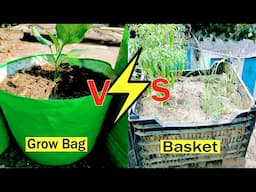 Goodbye Old Garden | New Kitchen Garden Setup