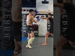 Favorite Combinations on the Focus Mitts