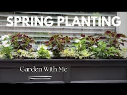 Garden with Me| Planting A Duranta  Tree|Perennial Basil| Shade Containers