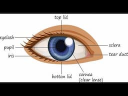 EYE DEFECTS / MYOPIA / HYPERMETROPIA