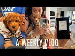 WEEKLY VLOG | Living w/ a Dog, Laugh at My Pain... My Truth, His Lies!