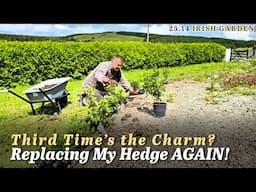 🇮🇪 25.14: Replacing My Hedge… Round 3!