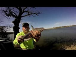 Channel cats on a double hook rig,