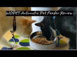 WOPET Automatic Pet Feeder Review! Get 18% off!
