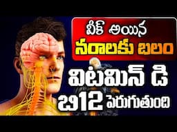 ఇవి రోజు రాత్రి నానబెట్టి ఉదయాన్నే తింటే నరాల్లో బలం పెరుగుతుంది | Nerves Weakness | Vitamin D | B12
