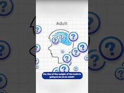 Brain Growth from Birth to Adulthood — The Numbers Will Surprise You! 🤔