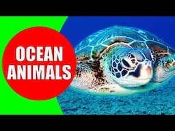 Learn 20 Amazing OCEAN ANIMALS for Kids - Fun & Interesting Facts for Toddlers & Kindergarten