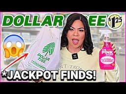 *NEW* Dollar Tree Deals you NEED to buy in 2024!