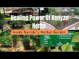 HIDDEN HEALING: EXPLORING NAIROBI #MUSEUM’S #HERBAL GARDEN & IT'S POWERFUL MEDICINAL HERBS"