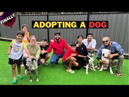 GETTING A DOG FINALLY! 🐕‍🦺 FAMILY'S PRICELESS REACTION !
