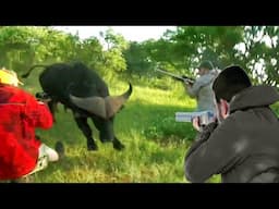 An adventure with the most deadly animal for hunters in Africa