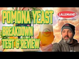 Pomona Yeast from Lallemand: NEIPA & Hazy Pale Ale Strain - Breakdown, Test & Review + Recipe! 🍍🍺