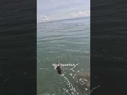 When the Ocean Wants its Fish Back￼