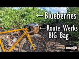 Blueberry Picking by Bicycle (Route Werks BIG Bag): Perfect Recovery Ride
