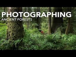 Photographing the Secret Life of Ancient Trees