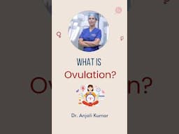 What is Ovulation?