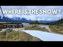 Shocking State of Revelstoke's Lower Mountain