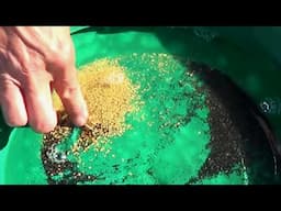 GOLD PAN vs RIVER SLUICE | How Much GOLD in 2 Buckets - Liz Kreate