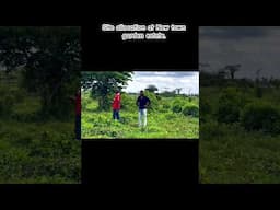 Today we allocate plots to clients who our esteemed clients that bought from this estate.