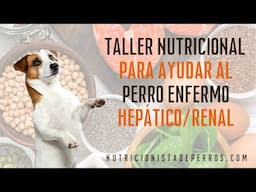TALLER NUTRICIONAL PARA AYUDAR AL PERRO ENFERMO HEPÁTICO/RENAL
