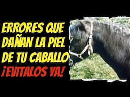 ¡Cuidado con esto! Lo que podría estar dañando la piel de tu caballo
