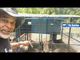 ￼Producers pride 8 x 8 chicken coop conversion