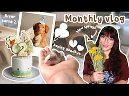 Throwing my dog a birthday party & new sprays | VLOG