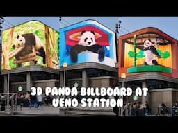 Adorable 3D Panda Billboard in Japan 🐼🇯🇵 #panda #3danimation #japantrip #uenostation
