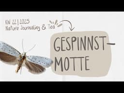 27. Mai 25 | Nature Journaling & Tea 🫖 (Love The Unloved): Gespinnt-Motte