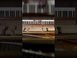 Quiet, beautiful melodies on Felt Piano