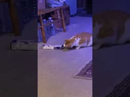 Hand in the box