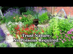 Here’s What Happens When You Trust Nature - No Poisons Required