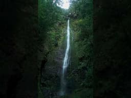 Hidden waterfall Madeira  #shorts #madeira